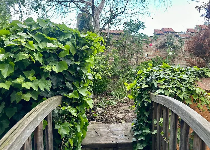 Hidden Garden - Spacious Modern - 1 Min To Shuttle *